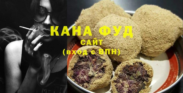 хмурый Алзамай