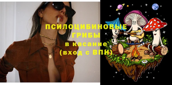 бошки Армянск
